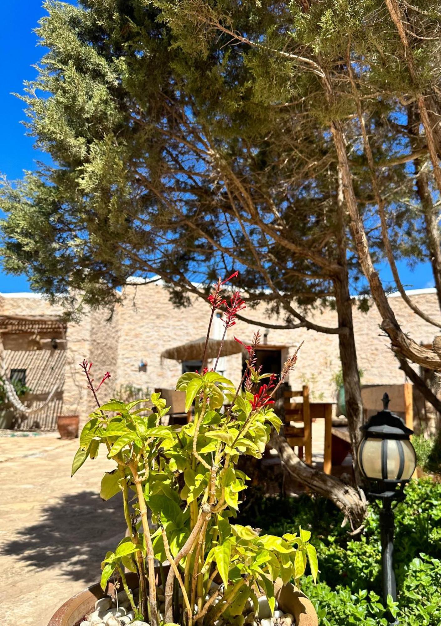 Atlantis 12, Maison D'Hotes Et D'Art Εσαουίρα Εξωτερικό φωτογραφία